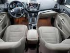 2013 Ford Escape Se for Sale in Louisville, KY - Front End