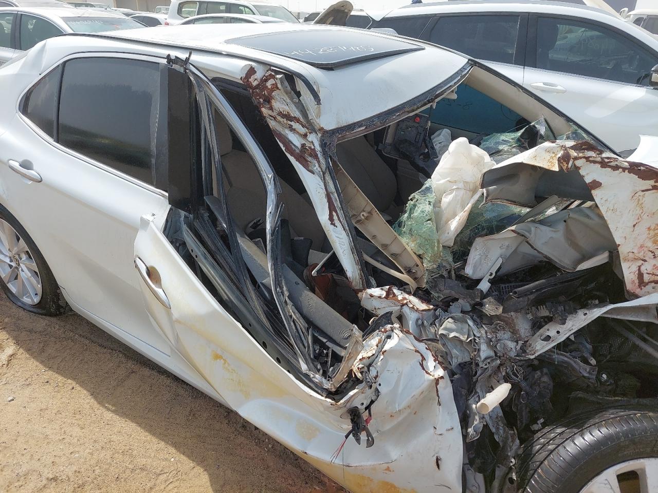 JTNB14HK5R3241644 - 2024 TOYOTA CAMRY - #44287405