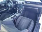 2019 Ford Mustang  for Sale in Cicero, IN - Front End