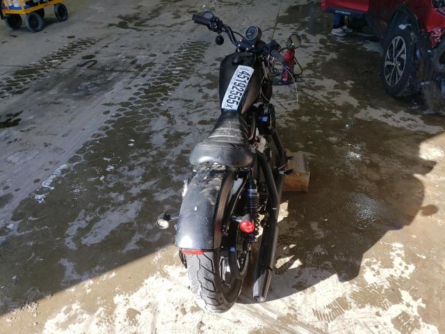  HARLEY-DAVIDSON XL883 N 2020 Черный