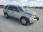 2012 Ford Escape Xlt за продажба в New Braunfels, TX - Front End