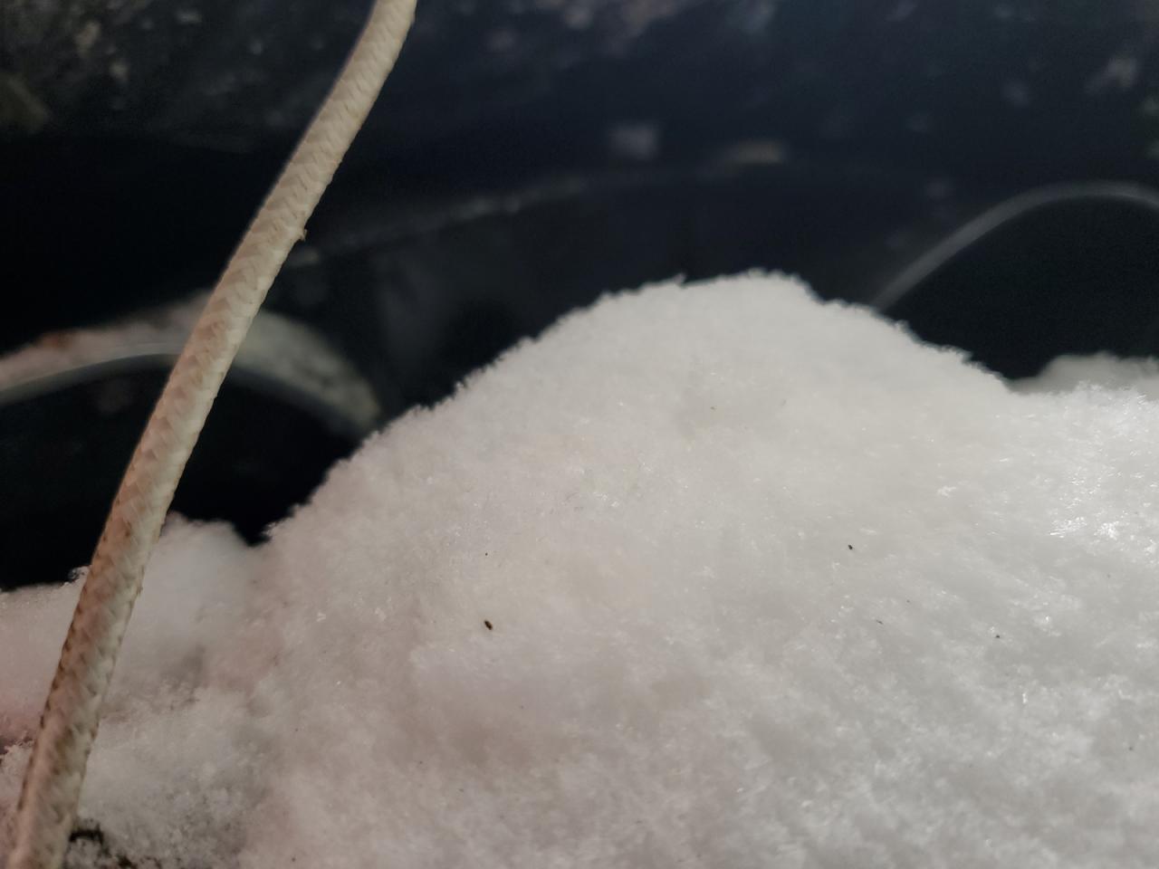 2015 Ford Focus - Image 9