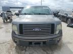 2010 Ford F150 Super Cab იყიდება West Palm Beach-ში, FL - Rear End
