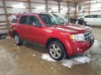 2012 Ford Escape Xlt zu verkaufen in Pekin, IL - Rear End