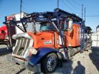 2019 Peterbilt 389  for Sale in Louisville, KY - Front End