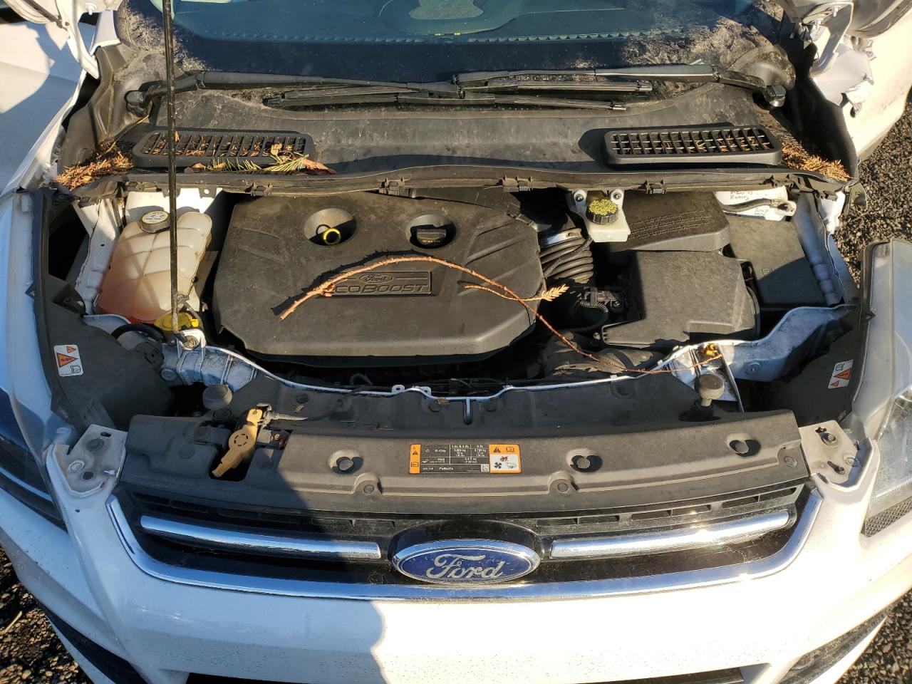 2013 Ford Escape - Image 13