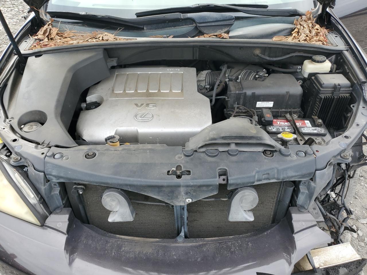 2009 Lexus Rx 350 VIN: 2T2GK31U99C071806 Lot: 43224945