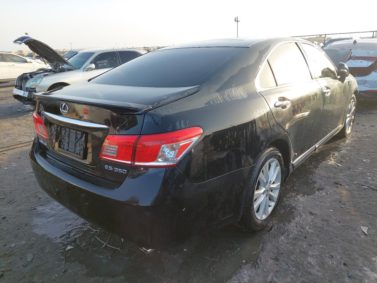 JTHBJ46G5A2354893 - 2010 Lexus ES 350 - #46969075