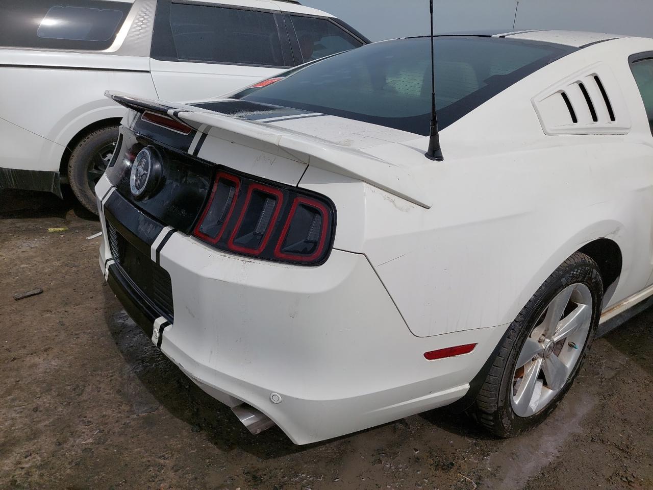 1ZVBP8AM1D5237641 - 2013 FORD MUSTANG - #45436755
