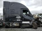 2019 Freightliner Cascadia 126  იყიდება Tifton-ში, GA - All Over