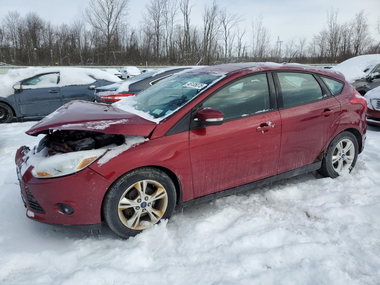 2014 Ford Focus - Image 1