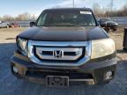 2011 Honda Pilot Exl zu verkaufen in York Haven, PA - Front End