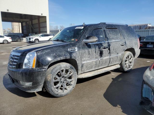 2010 Cadillac Escalade Luxury