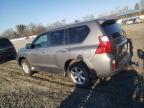 2011 Lexus Gx 460 en Venta en Spartanburg, SC - Minor Dent/Scratches