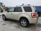 2010 Ford Escape Limited за продажба в Wayland, MI - Front End