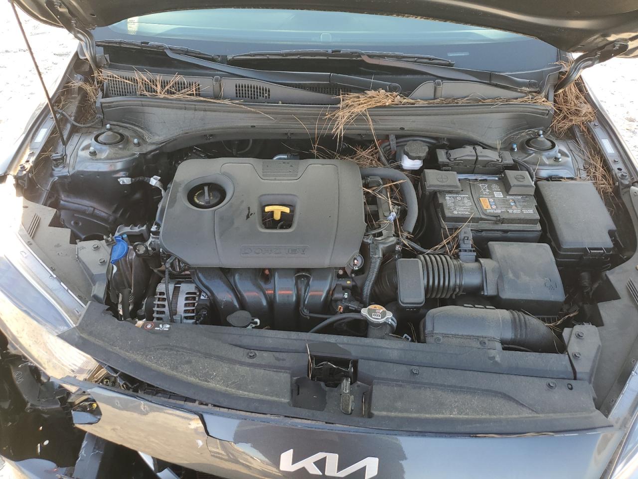 2023 Kia Forte - Image 11