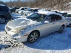 2005 Lexus Es 330 იყიდება Marlboro-ში, NY - Minor Dent/Scratches