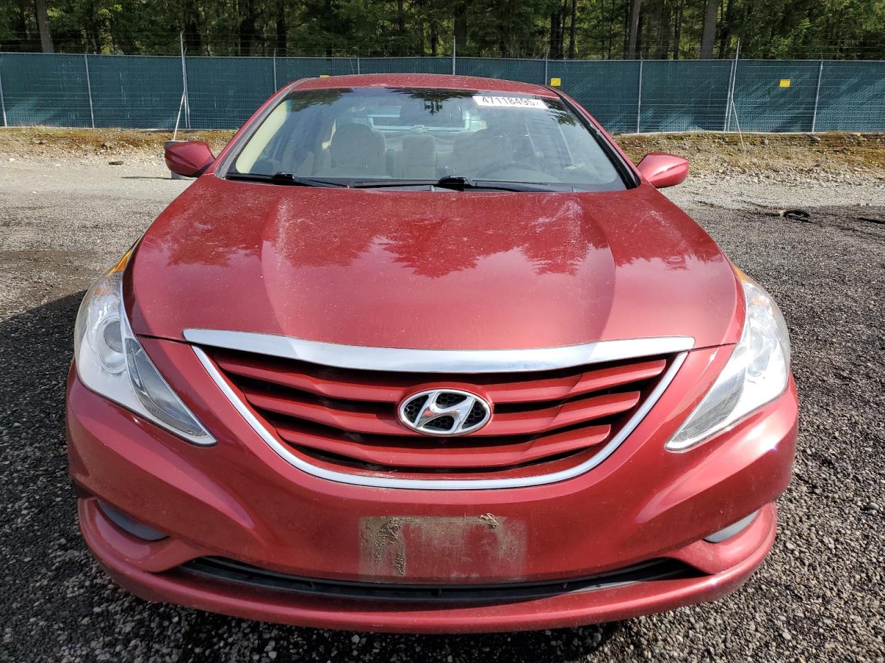 2013 Hyundai Sonata - Image 5