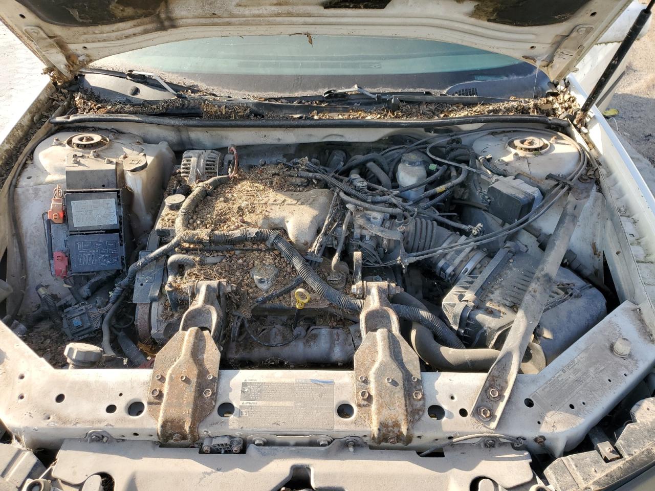 2004 Chevrolet Impala VIN: 2G1WF52E959189705 Lot: 62891725