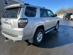 2024 TOYOTA 4RUNNER SR5/SR5 PREMIUM à vendre chez Copart MA - NORTH BOSTON