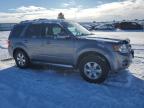 2008 Ford Escape Limited продається в Airway Heights, WA - Rear End