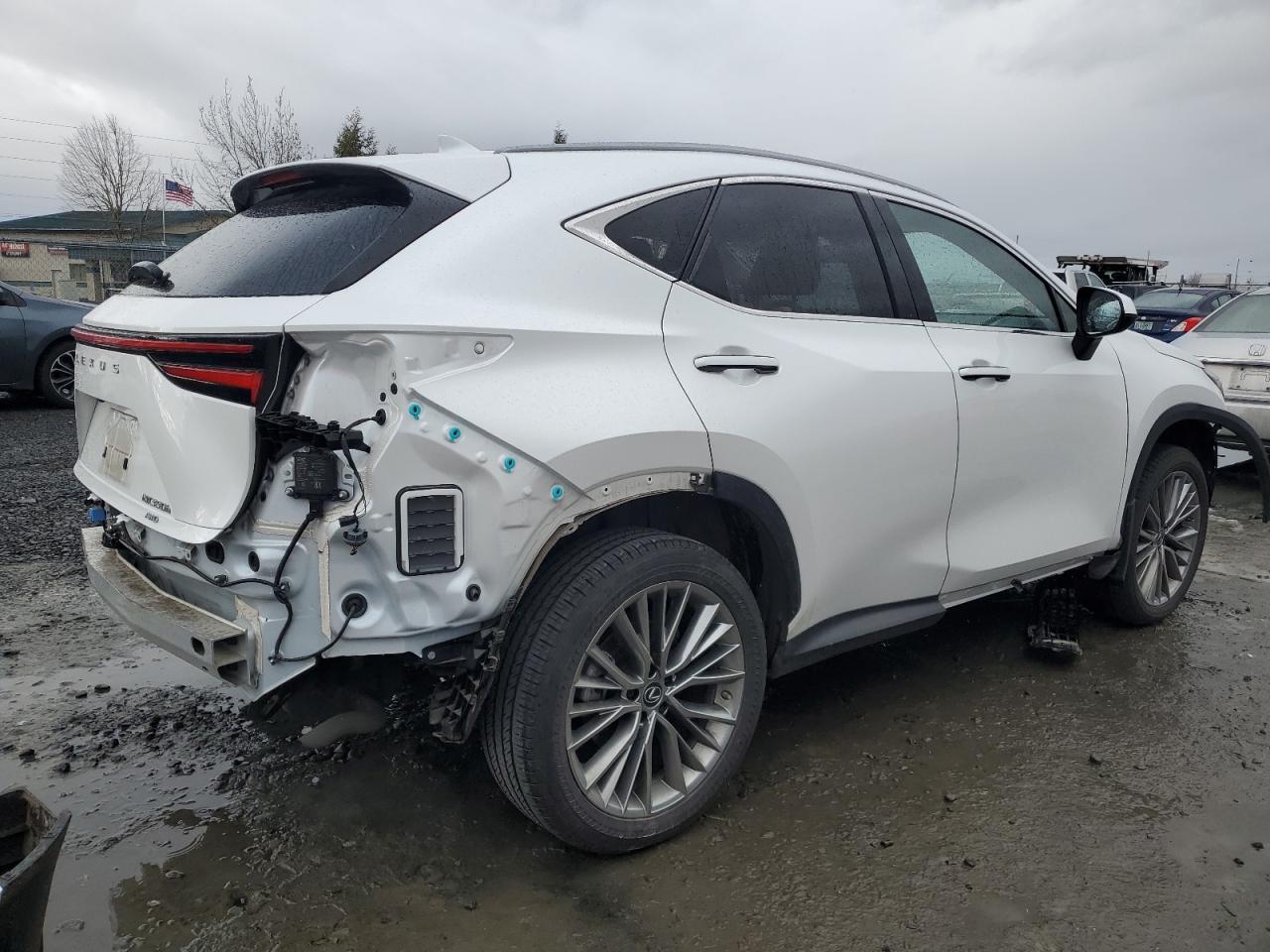 2023 Lexus NX - Image 3
