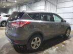 2014 Ford Escape Se zu verkaufen in Candia, NH - Front End