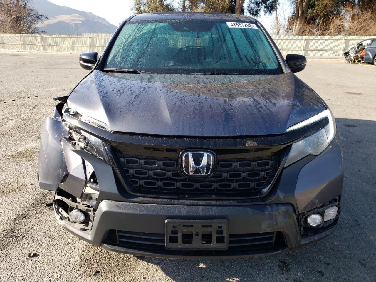 2019 Honda Passport - Image 5