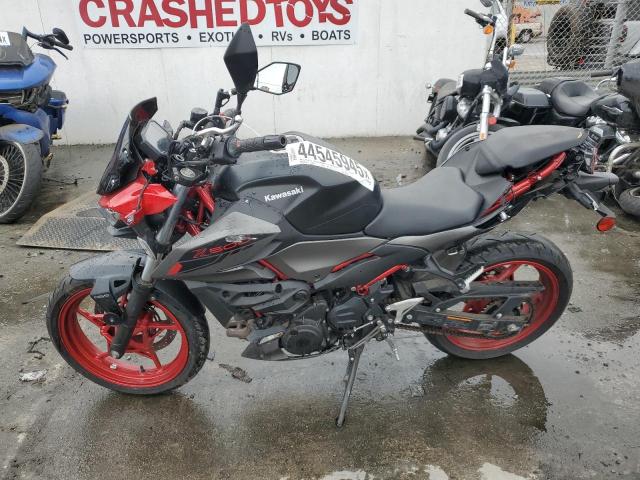  KAWASAKI ER500 2024 Два тони