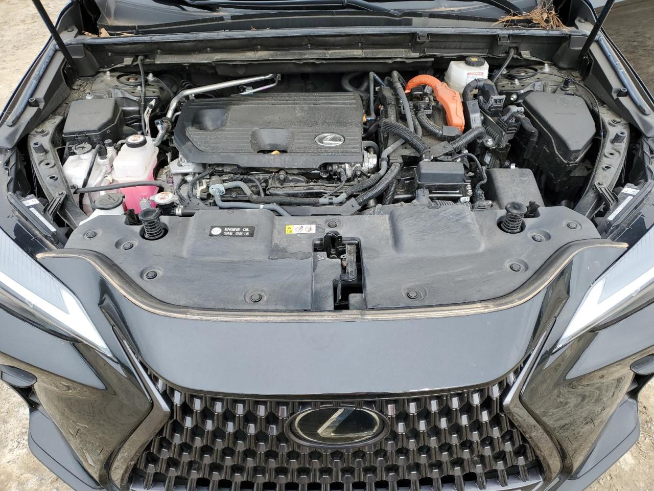 2022 Lexus NX - Image 12