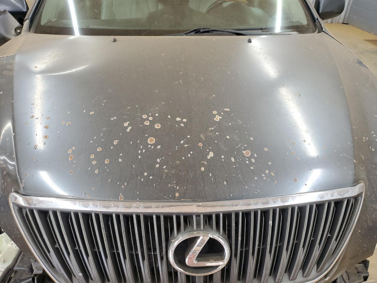 2004 Lexus RX - Image 13