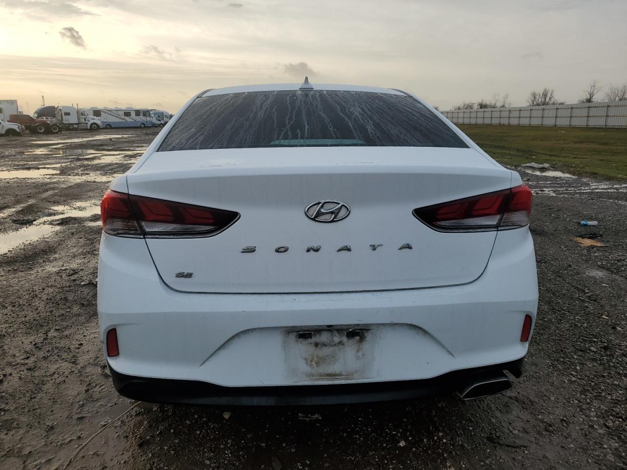 2019 Hyundai Sonata - Image 6