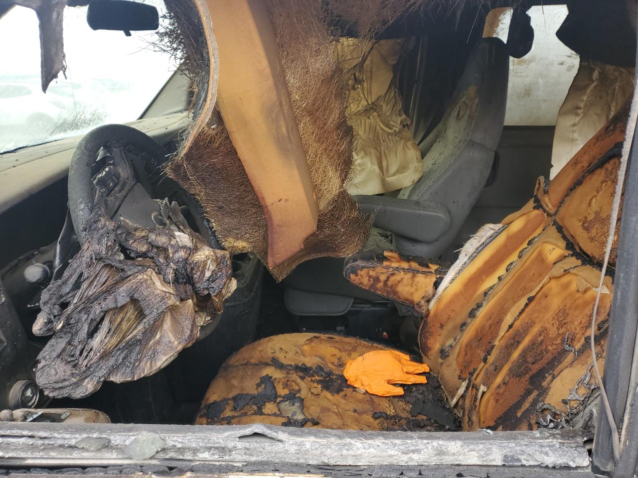 2009 Chevrolet Express G3500 VIN: 1GAHG35K891150724 Lot: 43645685