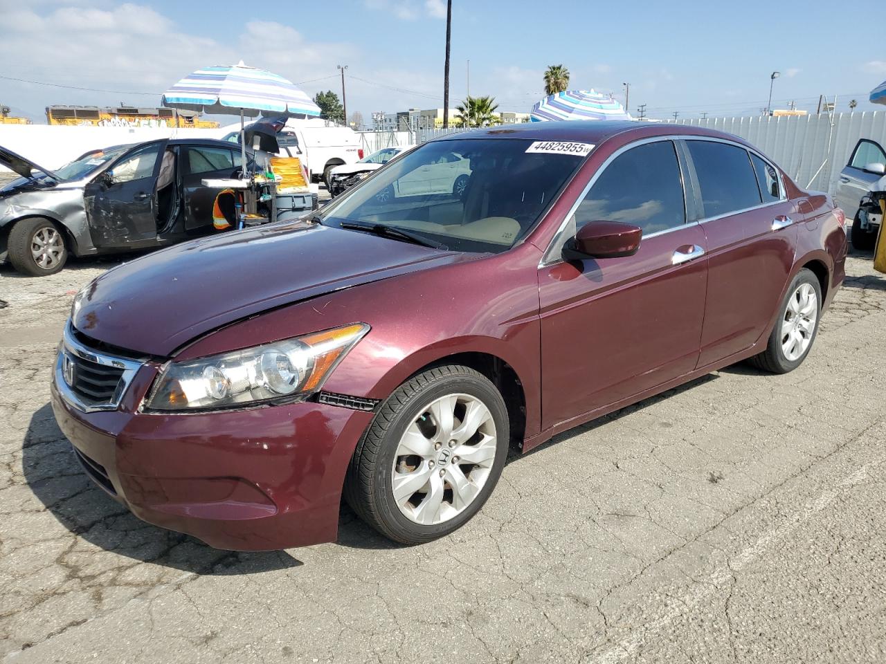 2009 Honda Accord - Image 1