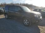 2011 Honda Pilot Exl zu verkaufen in York Haven, PA - Front End