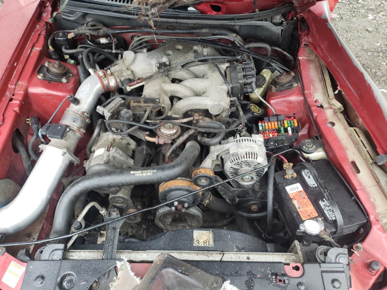 2000 Ford Mustang - Image 11