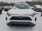 2020 TOYOTA RAV4 LE for sale at Copart ON - COOKSTOWN