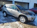 2015 Kia Sorento Ex for Sale in Chicago Heights, IL - Burn - Engine