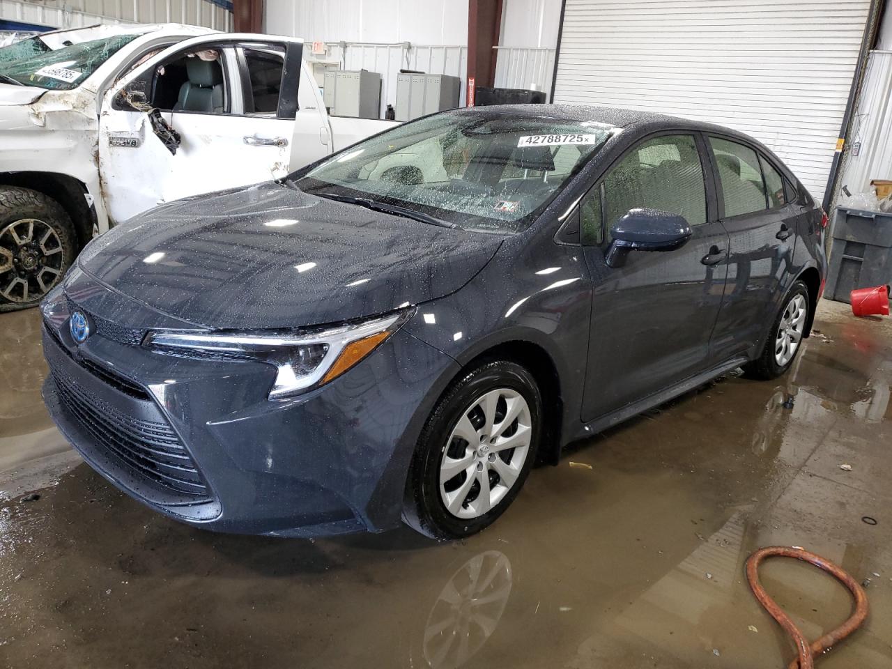 2024 Toyota Corolla - Image 1