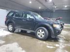 2010 Ford Escape Xls продається в Candia, NH - Normal Wear