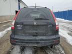 2011 HONDA CR-V LX for sale at Copart NB - MONCTON