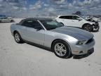 2012 Ford Mustang  للبيع في Arcadia، FL - All Over