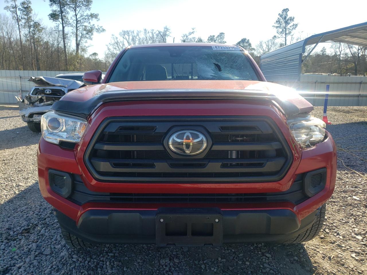 2019 Toyota Tacoma - Image 5