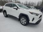 2020 TOYOTA RAV4 LE for sale at Copart ON - COOKSTOWN