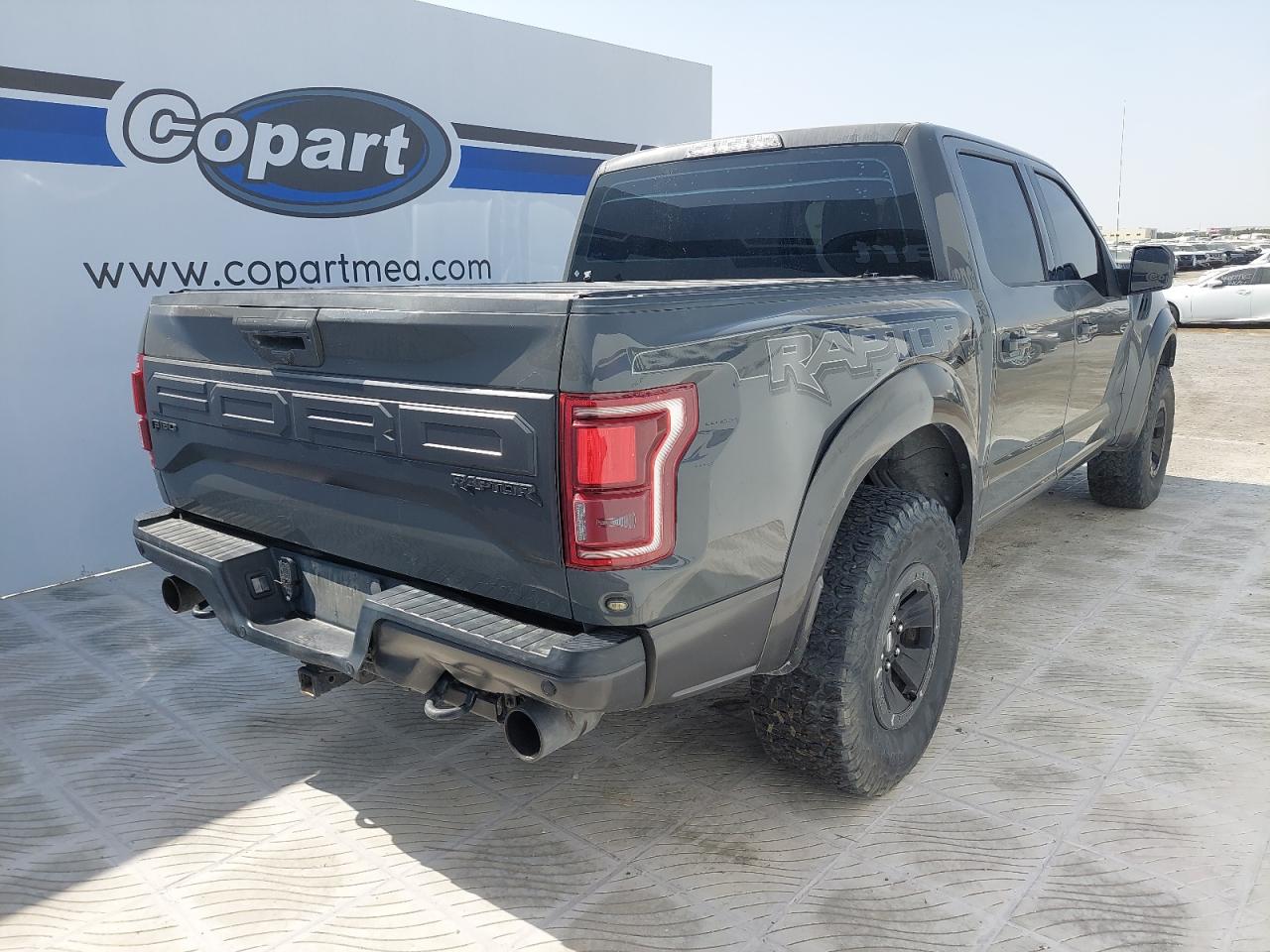 1FTFW1RG3JFB07069 - 2018 FORD F150 RAPTO - #46379145