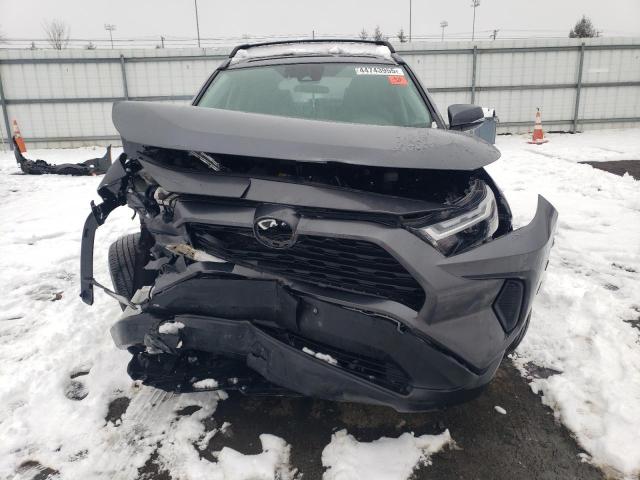  TOYOTA RAV4 2023 Gray