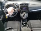 2019 Honda Cr-V Lx for Sale in Elmsdale, NS - Front End