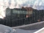 2008 Volvo Xc90 V8 на продаже в Assonet, MA - Front End