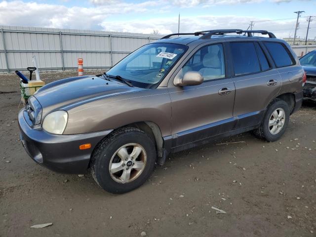 2006 Hyundai Santa Fe Gls