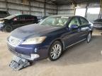 2011 Lexus Es 350 للبيع في Phoenix، AZ - All Over